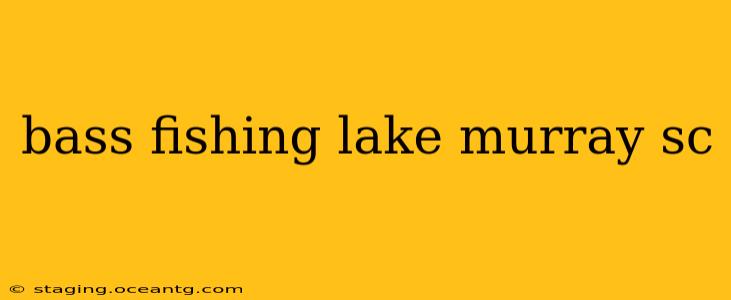 bass fishing lake murray sc