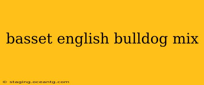 basset english bulldog mix