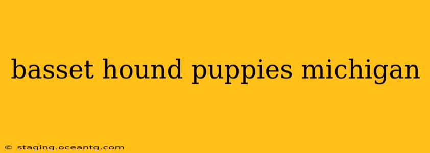 basset hound puppies michigan