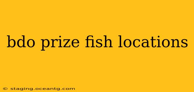 bdo prize fish locations