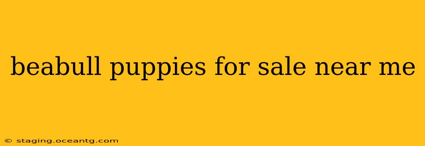 beabull puppies for sale near me