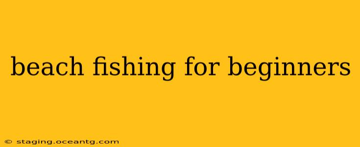 beach fishing for beginners