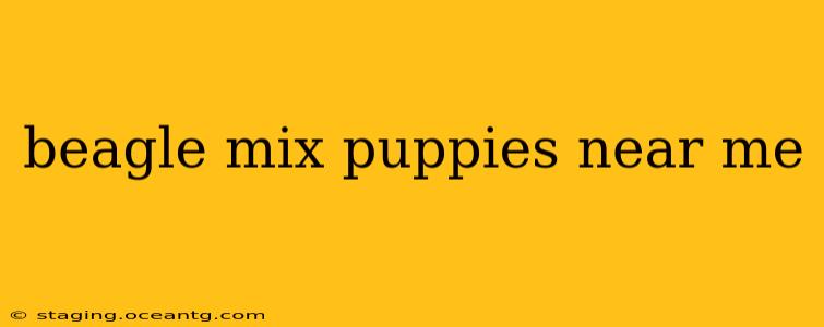 beagle mix puppies near me