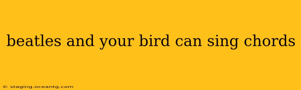 beatles and your bird can sing chords