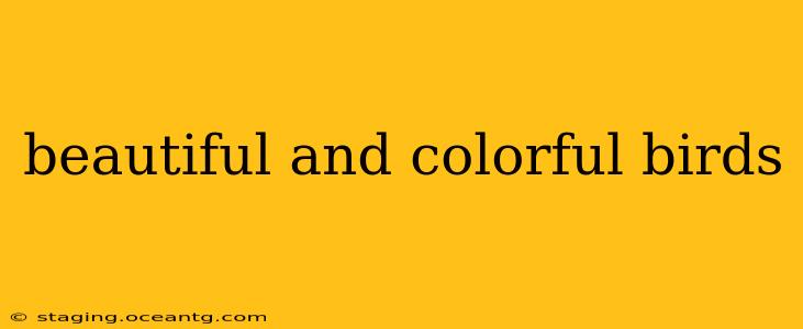 beautiful and colorful birds