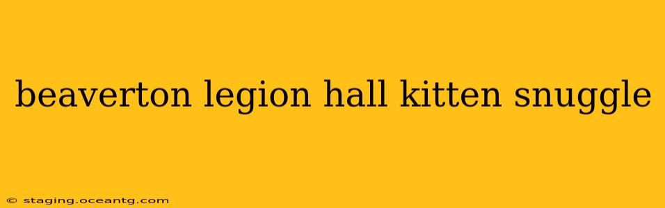 beaverton legion hall kitten snuggle