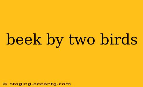 beek by two birds
