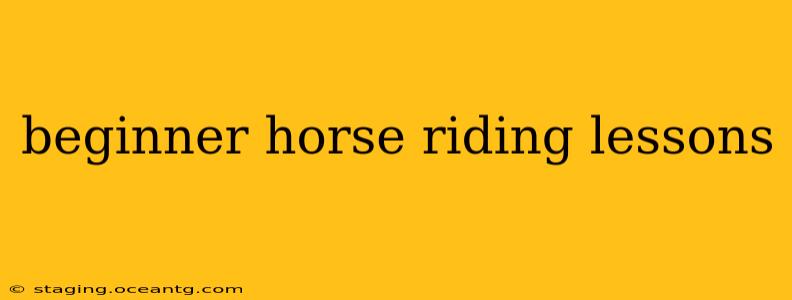 beginner horse riding lessons