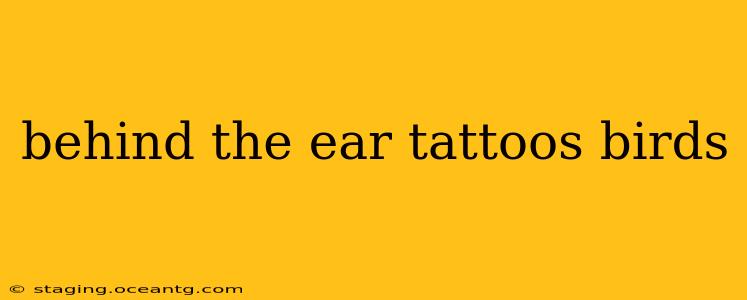 behind the ear tattoos birds