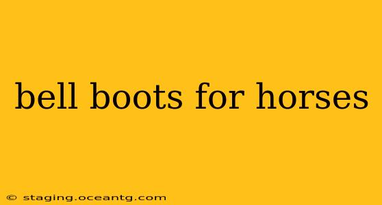 bell boots for horses