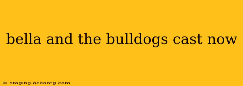bella and the bulldogs cast now