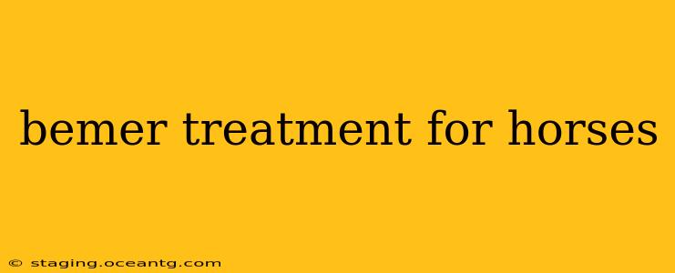 bemer treatment for horses