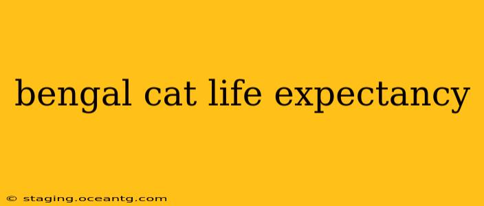 bengal cat life expectancy