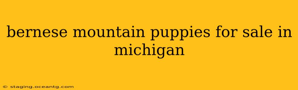 bernese mountain puppies for sale in michigan