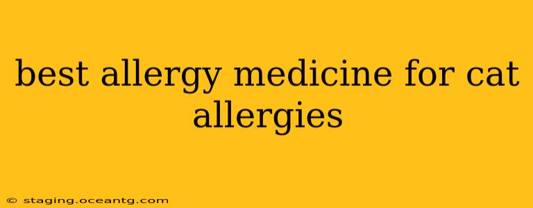 best allergy medicine for cat allergies