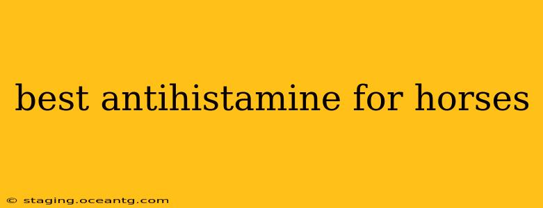 best antihistamine for horses