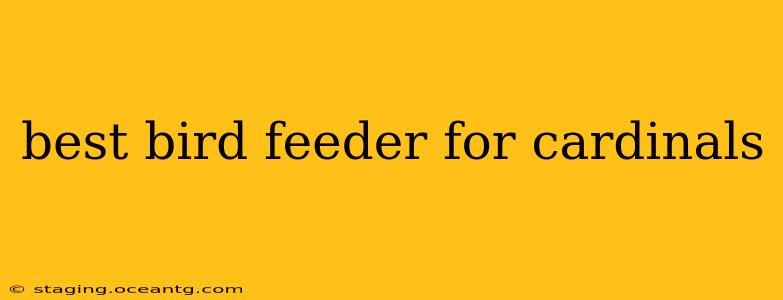 best bird feeder for cardinals