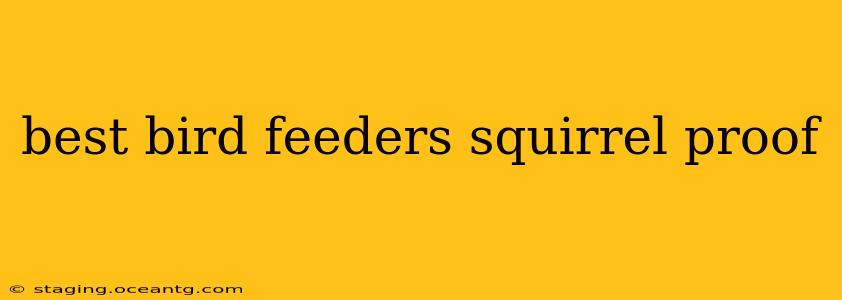 best bird feeders squirrel proof