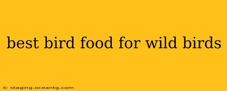 best bird food for wild birds