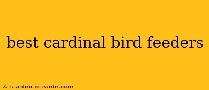 best cardinal bird feeders