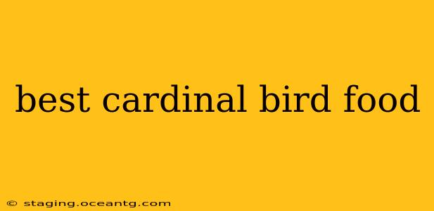 best cardinal bird food