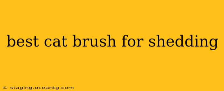 best cat brush for shedding