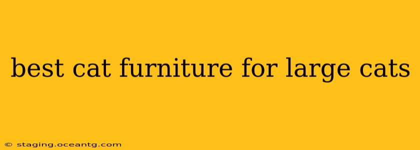 best cat furniture for large cats