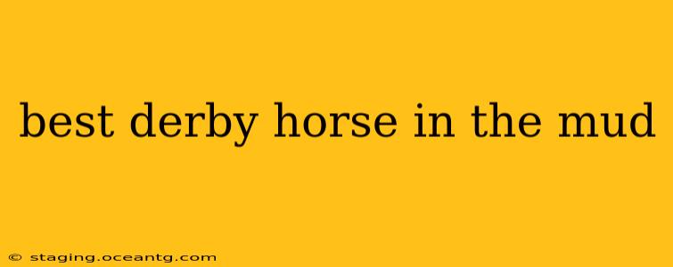 best derby horse in the mud