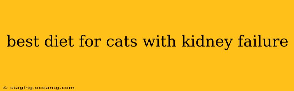 best diet for cats with kidney failure