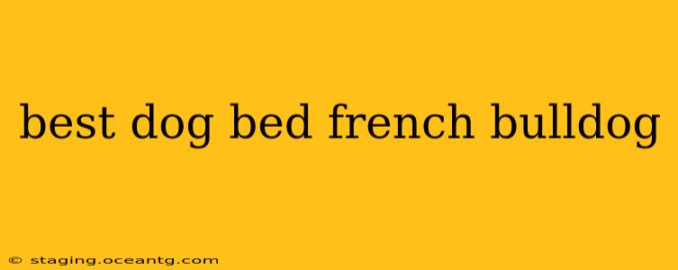 best dog bed french bulldog