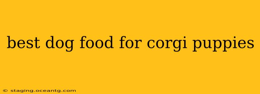 best dog food for corgi puppies