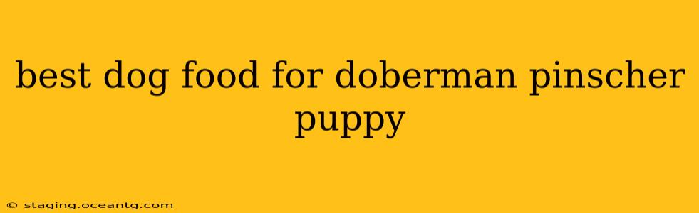 best dog food for doberman pinscher puppy