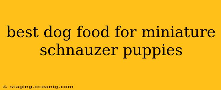 best dog food for miniature schnauzer puppies