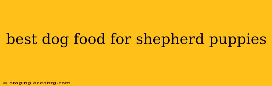 best dog food for shepherd puppies