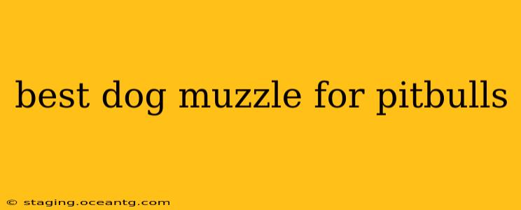 best dog muzzle for pitbulls