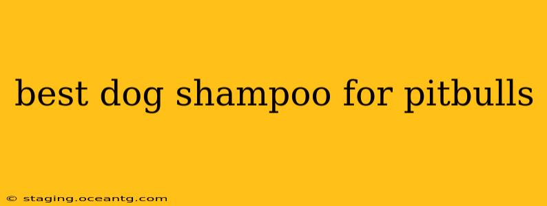 best dog shampoo for pitbulls