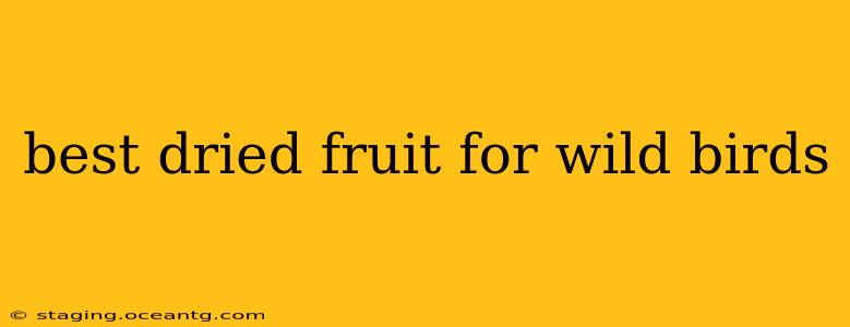 best dried fruit for wild birds