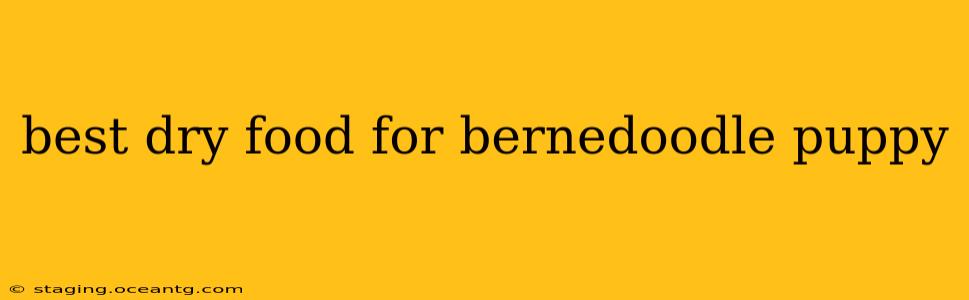 best dry food for bernedoodle puppy
