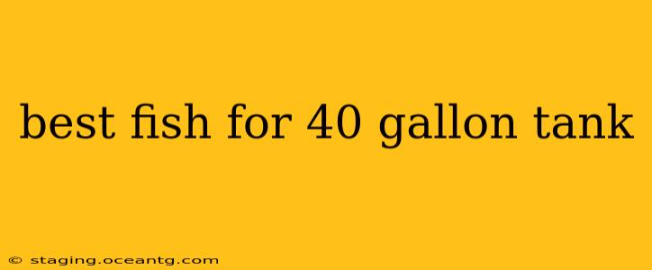 best fish for 40 gallon tank