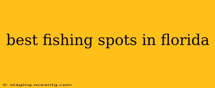 best fishing spots in florida