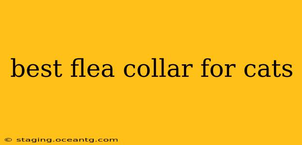 best flea collar for cats