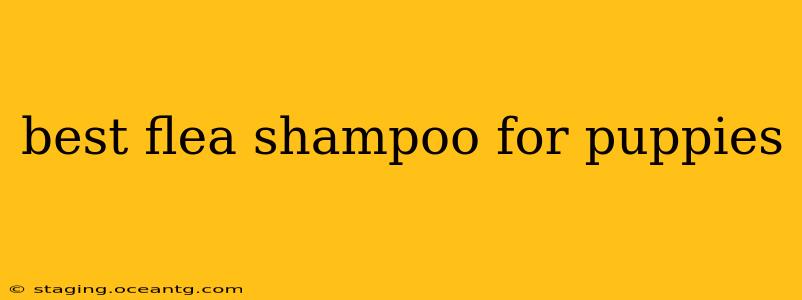 best flea shampoo for puppies