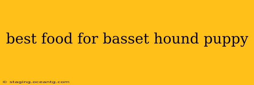 best food for basset hound puppy