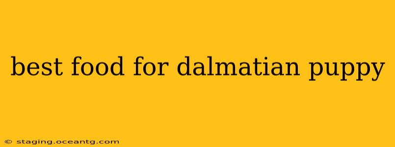 best food for dalmatian puppy