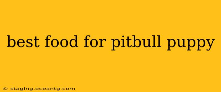 best food for pitbull puppy