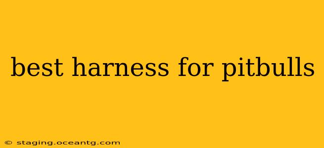 best harness for pitbulls