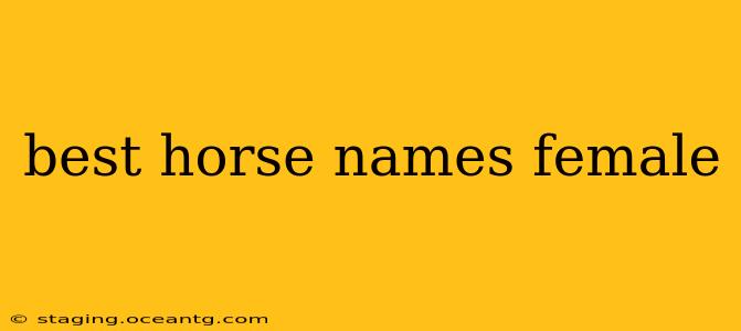 best horse names female