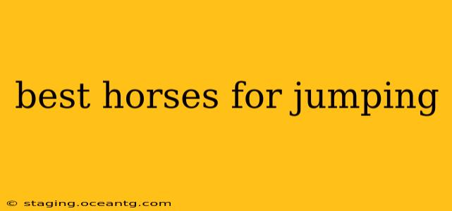 best horses for jumping
