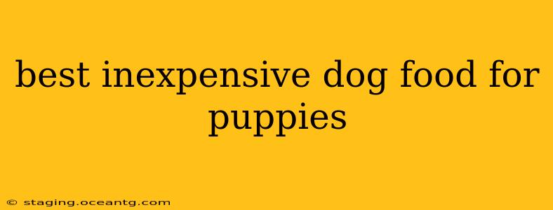 best inexpensive dog food for puppies