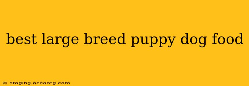 best large breed puppy dog food